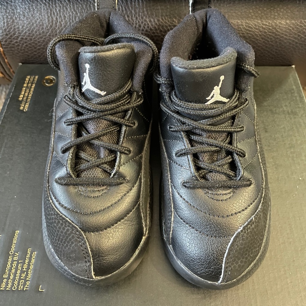 Jordan Retro 12